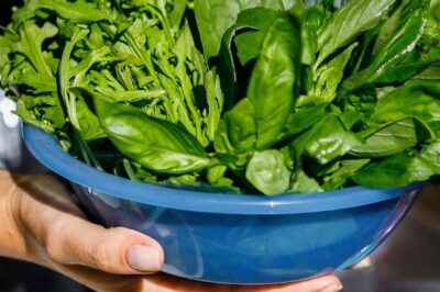 The Abraham Diet: Lose Belly Fat Fast Without Crunches or Starvation!